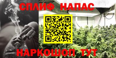 стафф Берёзовский