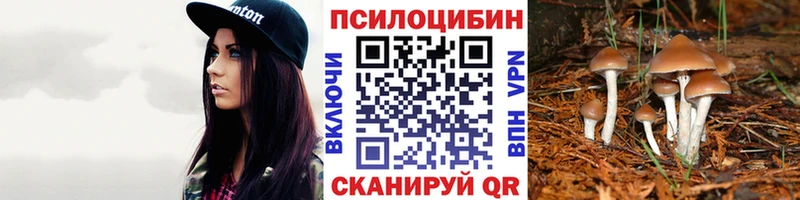 Псилоцибиновые грибы Psilocybe  где продают наркотики  Десногорск 