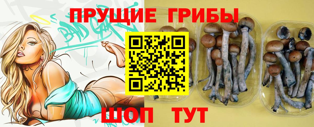 Псилоцибиновые грибы мицелий Десногорск