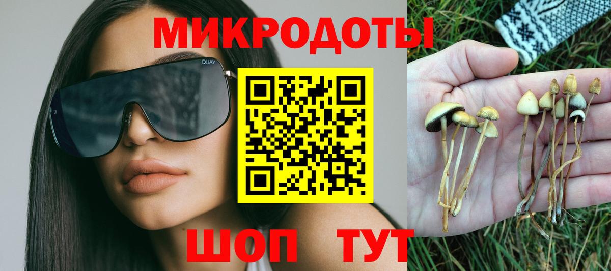 Десногорск  Галлюциногенные грибы ЛСД  Вход с VPN 